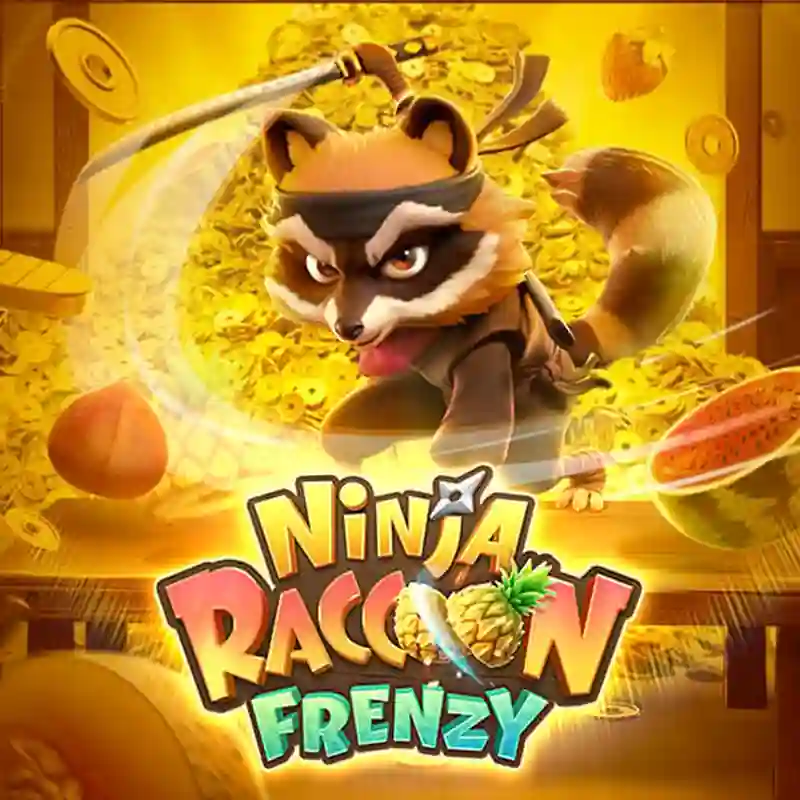 Ninja Raccoon